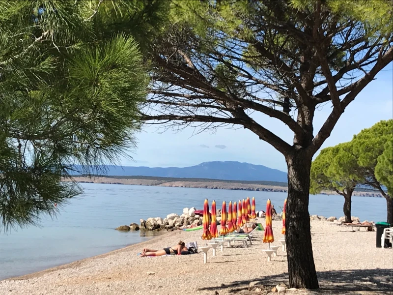 TOP WAHL im Zentrum von Crikvenica!