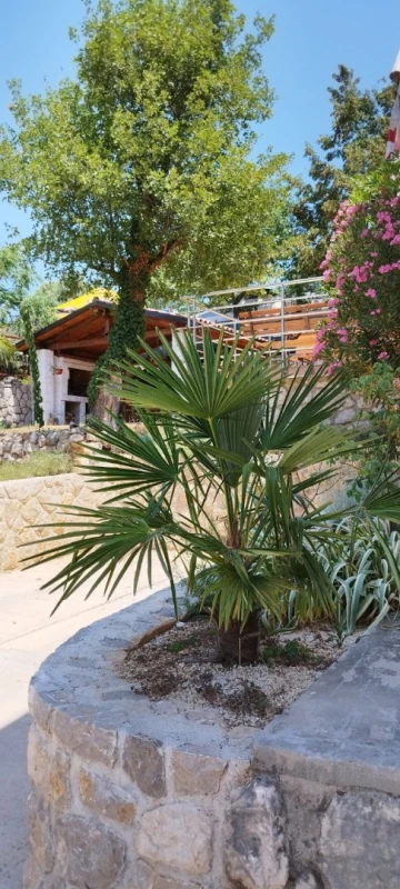 Fotogallerie