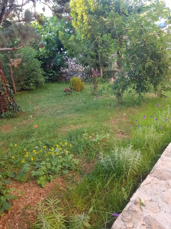 Fotogallerie