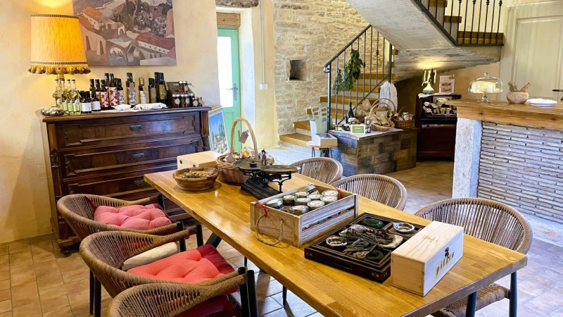 Botegin by IOSA – Olive Oil & Vinegar Tasting, Umag