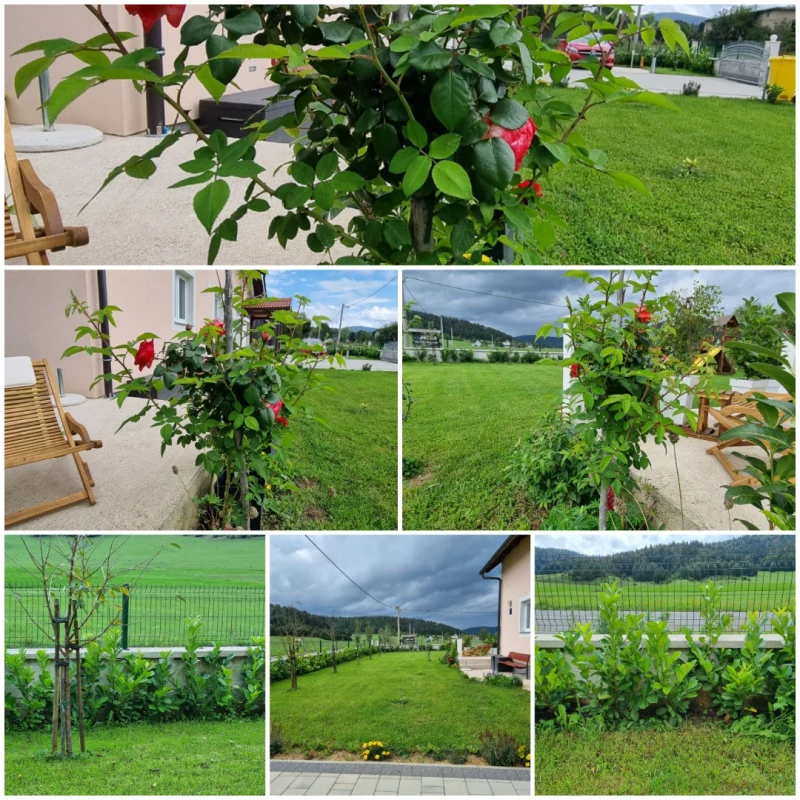 Photo gallery