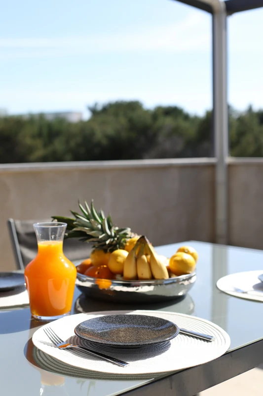 Apartman 1, Balkon / terasa