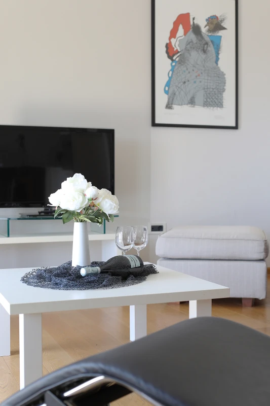 Apartman 1, Apartment's Racan, Pula