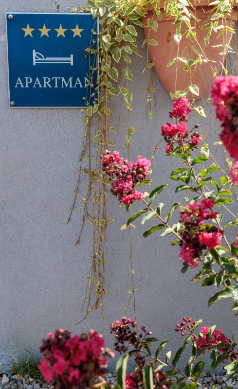 Apartment Alba, Other photos