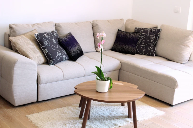 Apartment Lu, Dnevni boravak