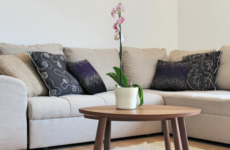 Apartment Lu, Dnevni boravak