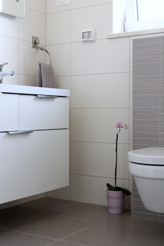 Apartment Lu, Kupaonica / wc