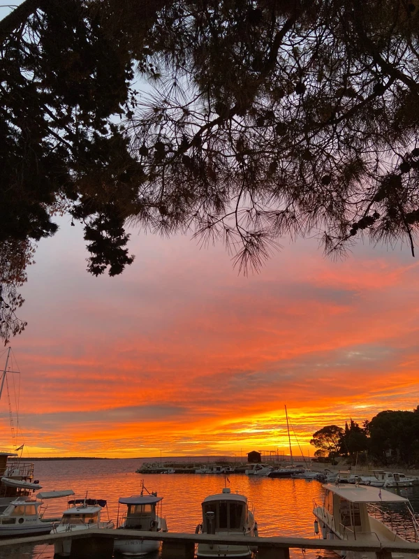 Apartmani Jadranka Mandre - otok Pag, Mandre