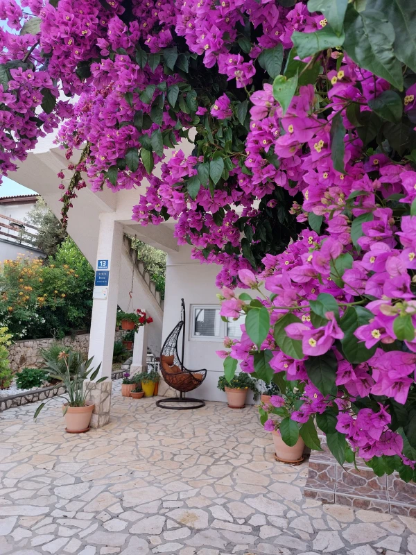 Apartmani Jadranka Mandre - otok Pag, Mandre