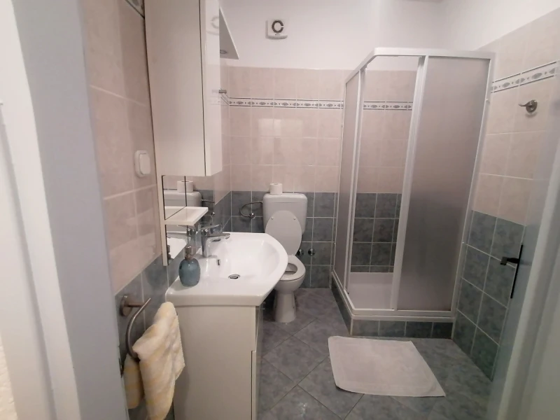Apartment 2, Bathroom / WC