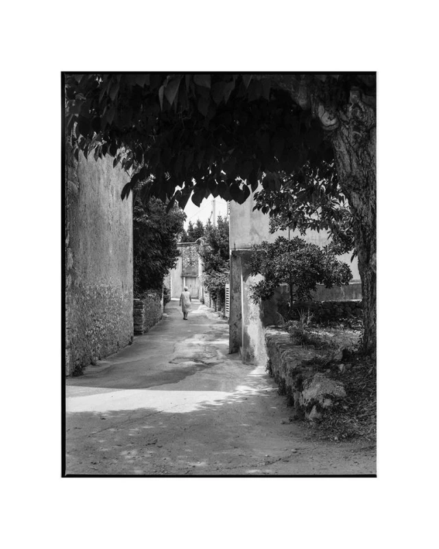 Photo gallery