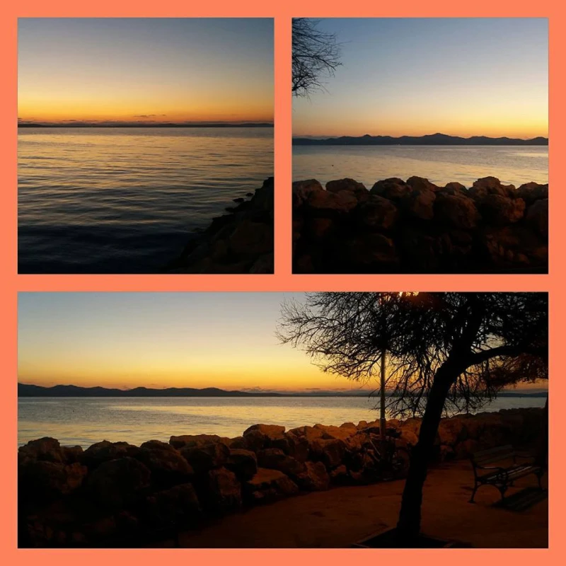 Photo gallery