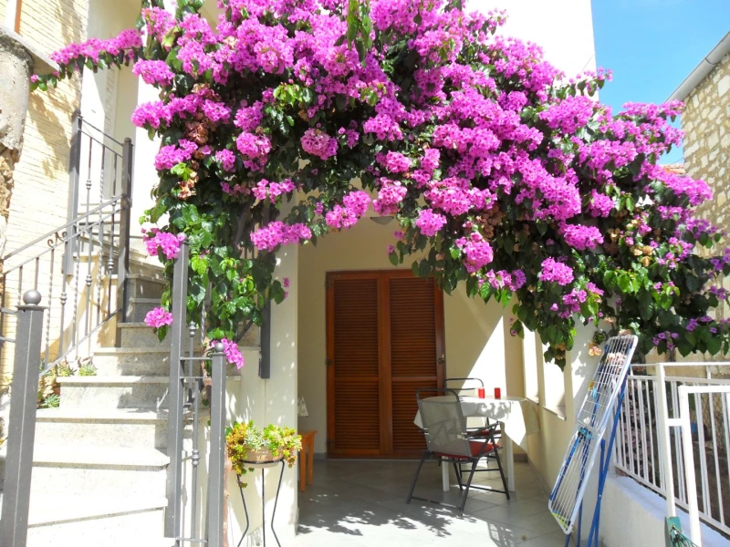 Apartments Milin am Meer in Zadar – Diklo
