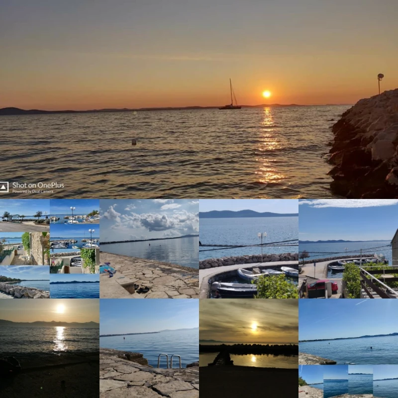 Photo gallery
