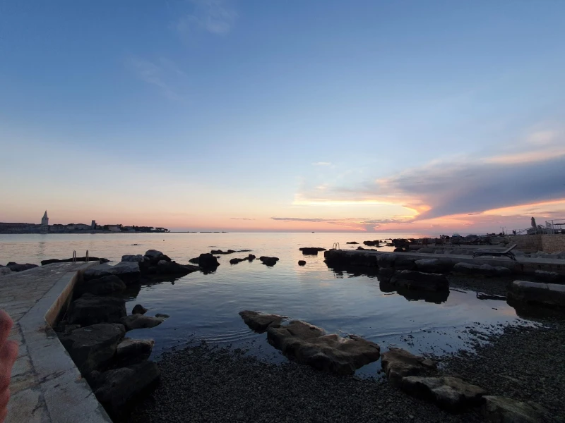 Pet-Friendly Beaches