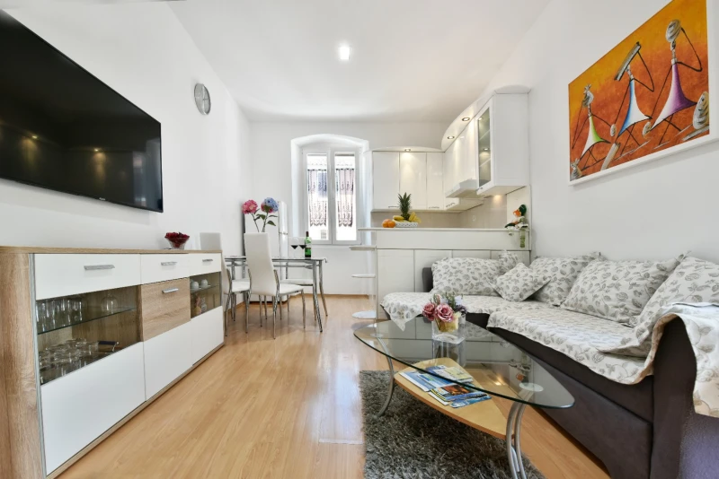 Premium apartment Aria