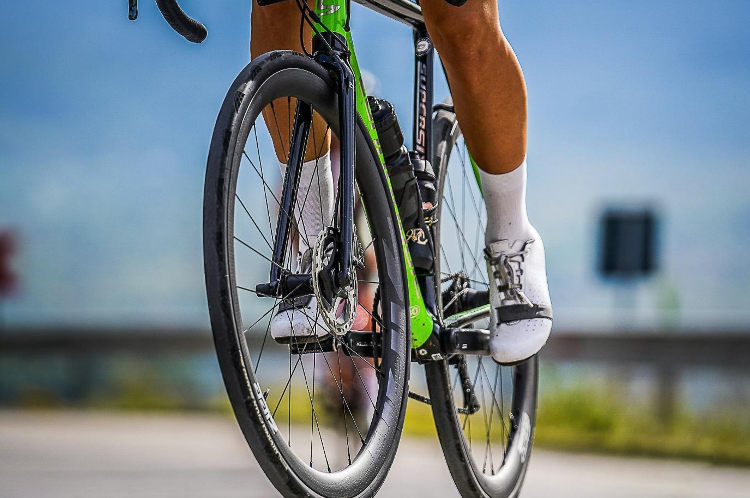 Parenzana Cycling Trail
