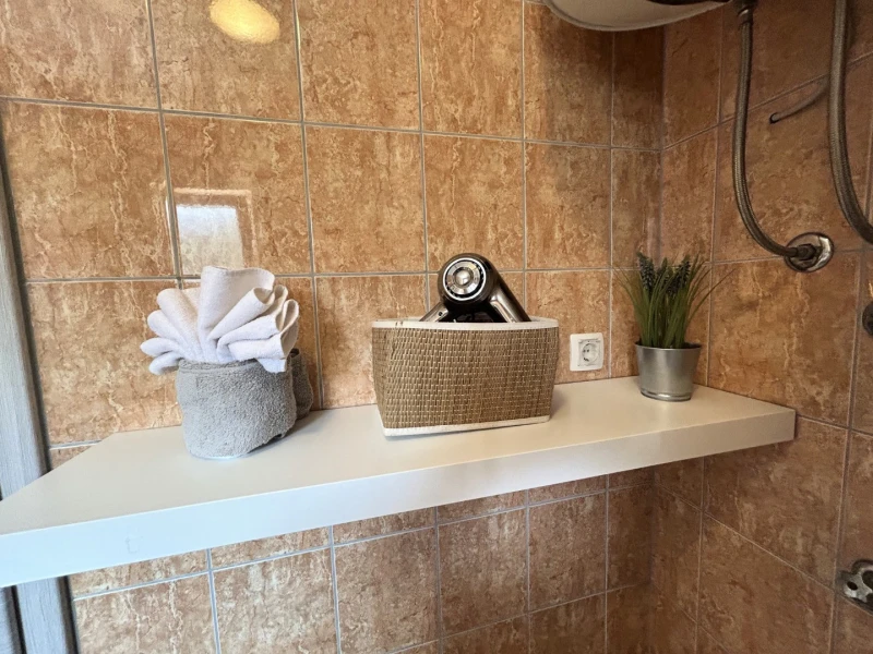 Apartment 2, Bathroom / WC