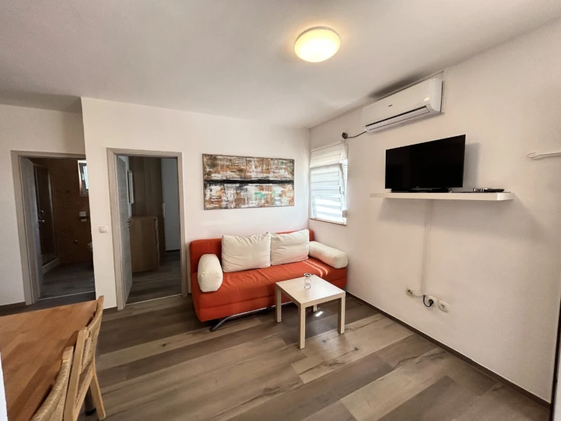 Apartment 2, Living room