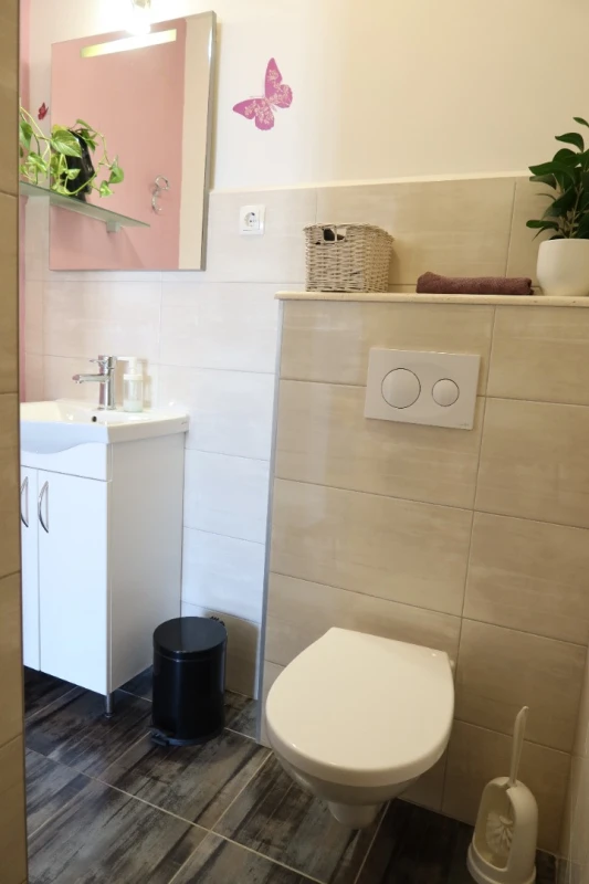 Apartman Glicinija, Štambuk, Bathroom / WC