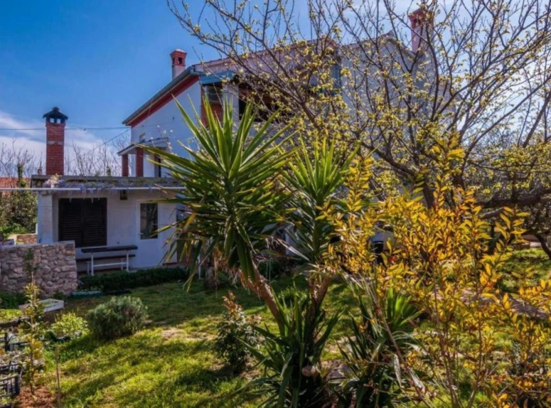 Apartmani Cvita, Ugljan