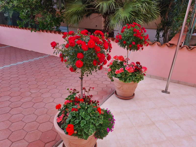 Apartmani Mare, 400 m od plaže u Medulinu, Medulin