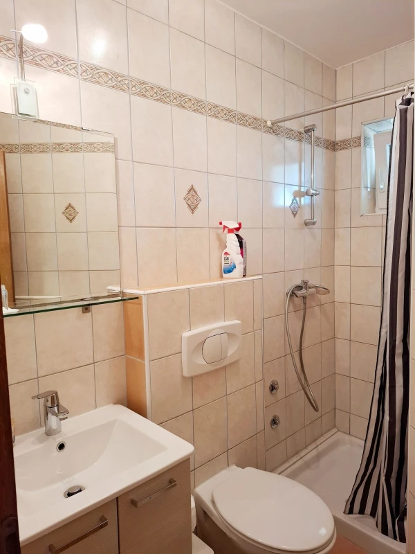 Obiteljski apartman sa velikom terasom, Kupaonica / wc