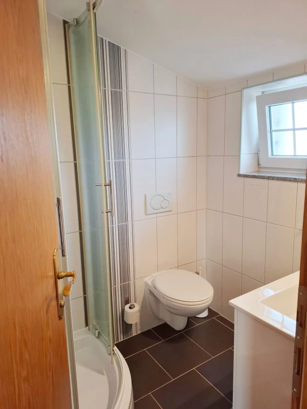 Studio apartman sa pogledom na more, Kupaonica / wc