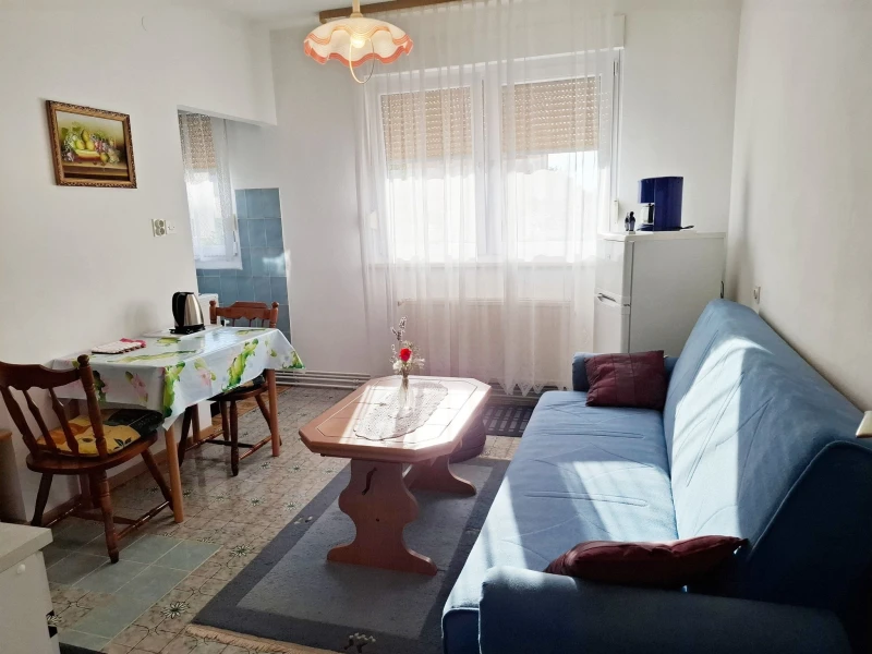 Apartman sa velikom terasom prema zapadu, Dnevni boravak
