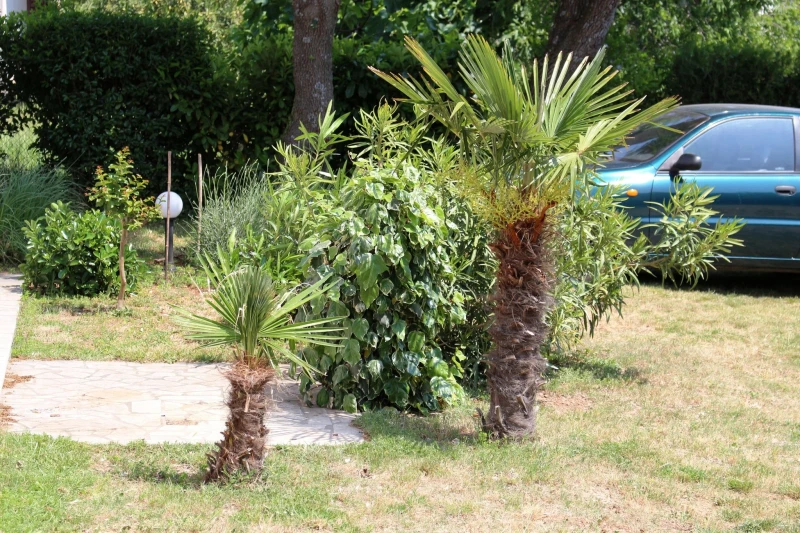 Apartmani Jana, na mirnoj lokaciji sa velikim vrtom, Medulin