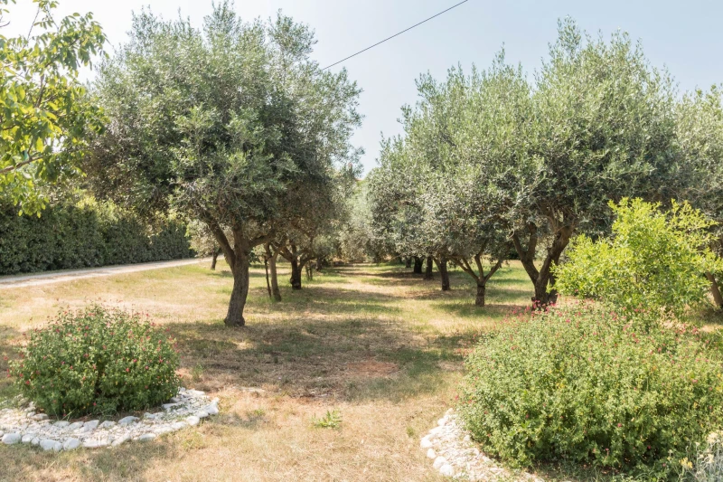Apartmani Mary, Ližnjan