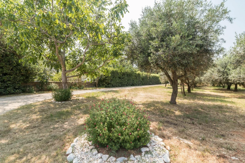Apartmani Mary, Ližnjan