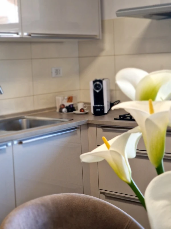 Adriatic Rovinj Apartment, Kitchen