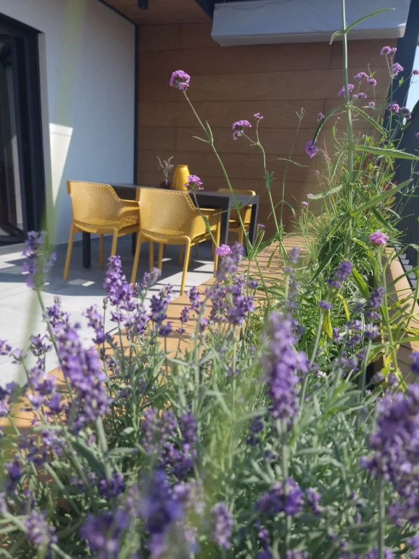 Apartments Cerin - Rovinj, Rovinj