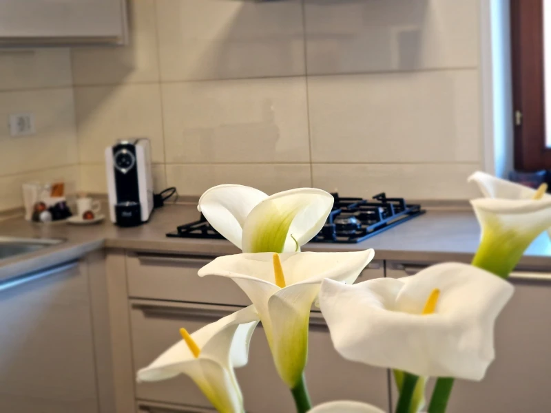 Adriatic Rovinj Apartment, Kitchen