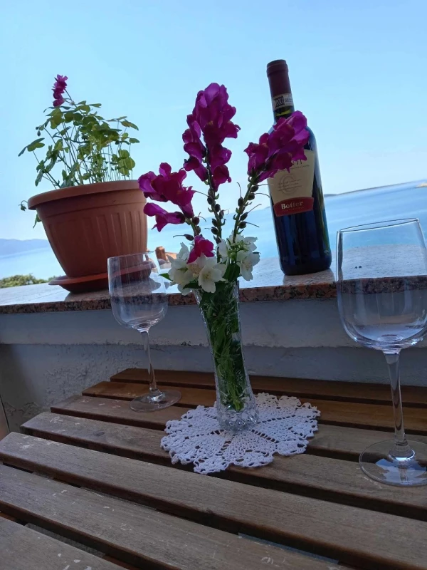 Julia 5