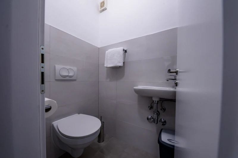 Superior Apartment 1, Kupaonica / wc