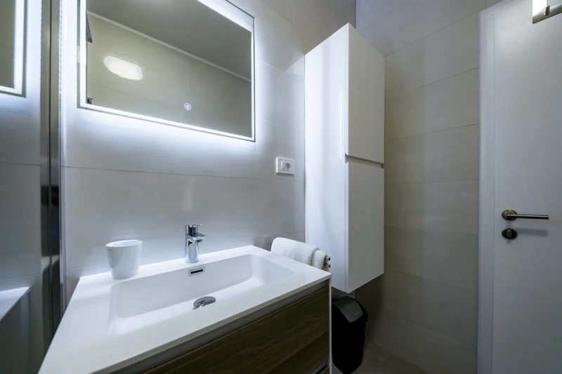 Superior Apartment 1, Kupaonica / wc