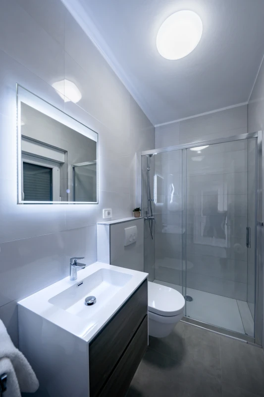 Superior Apartment 2, Kupaonica / wc