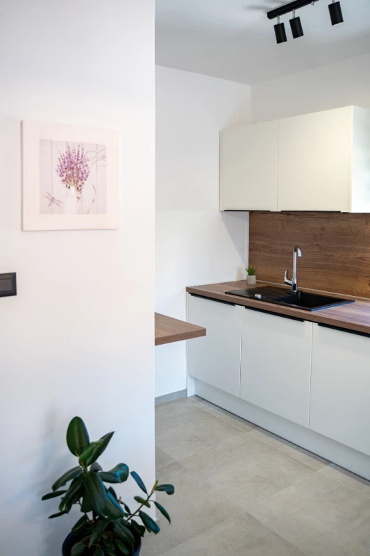 Apartment 2, Küche