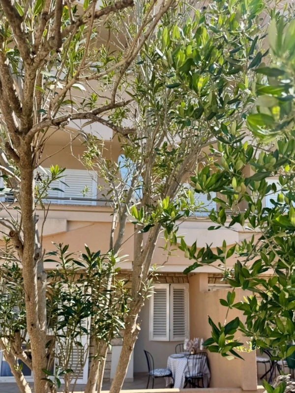 Studio 2, Soggiorno