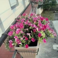 Apartmani Plomin Sky & Bay, Plomin