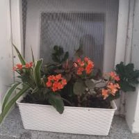 Apartmani Plomin Sky & Bay, Plomin