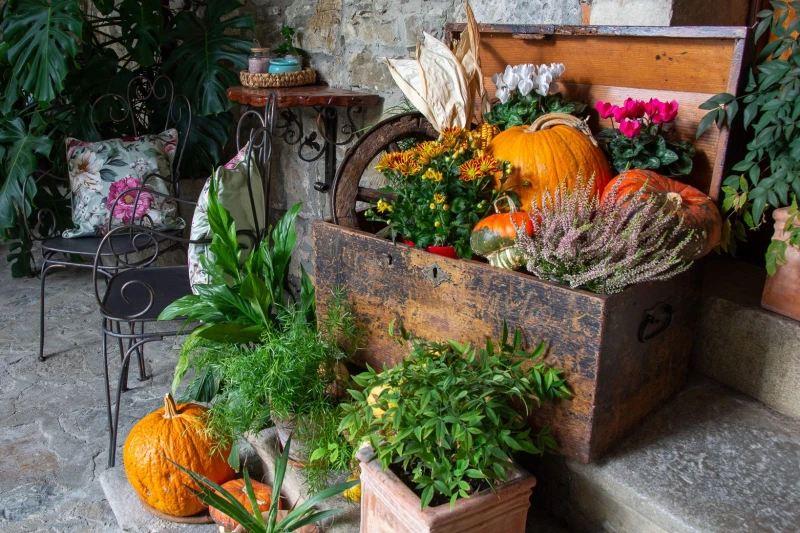 Autumn, the perfect time to escape!