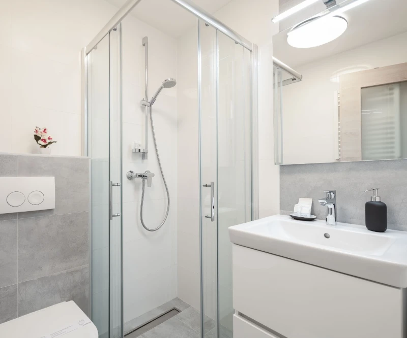 Double Room with Mountain View, Bathroom / WC
