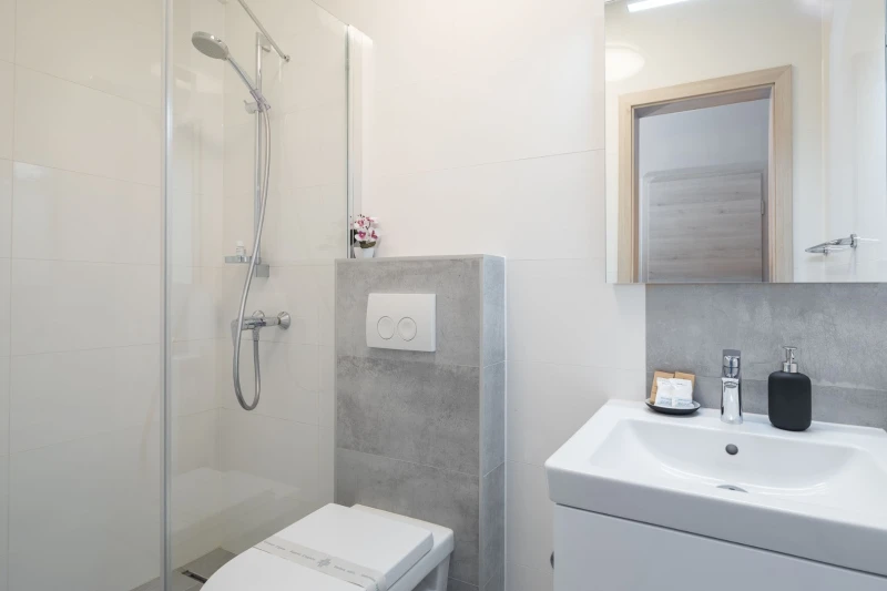Double Room with Mountain View, Kupaonica / wc