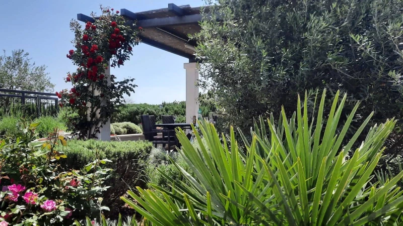 Villa Giove