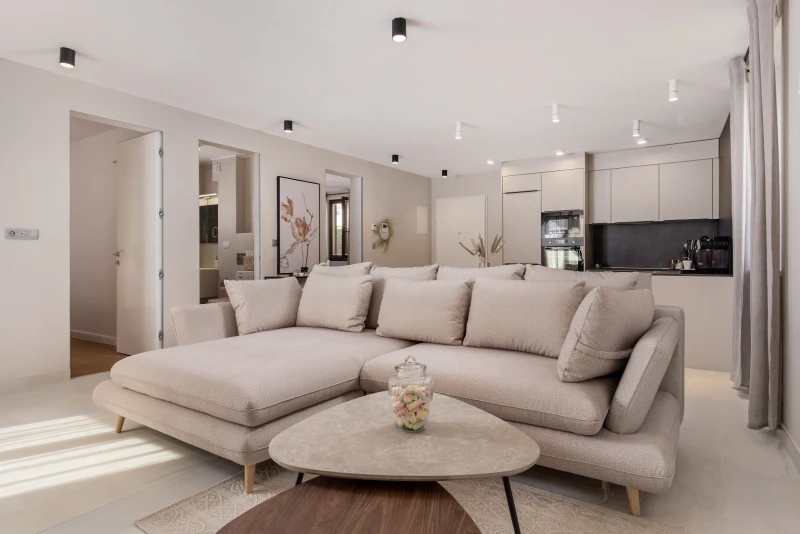 Apartment 2, Living room