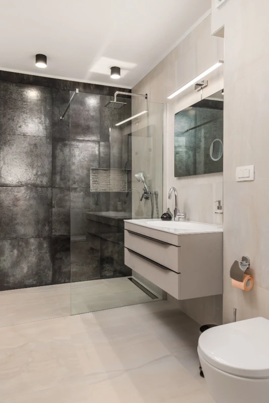 Apartment 2, Bathroom / WC