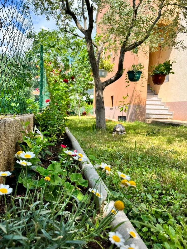 Family Apartment Nina Zadar